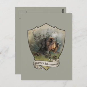German Wirehaired Pointer Postcard