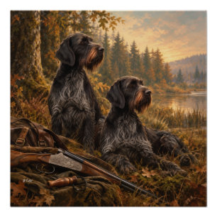 German Wirehaired Pointer Poster