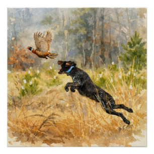 German Wirehaired Pointer Poster