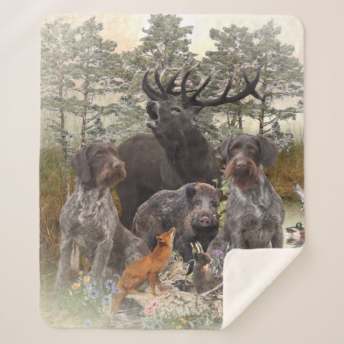  German Wirehaired Pointer   Sherpa Blanket