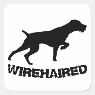 German Wirehaired Pointer Square Sticker