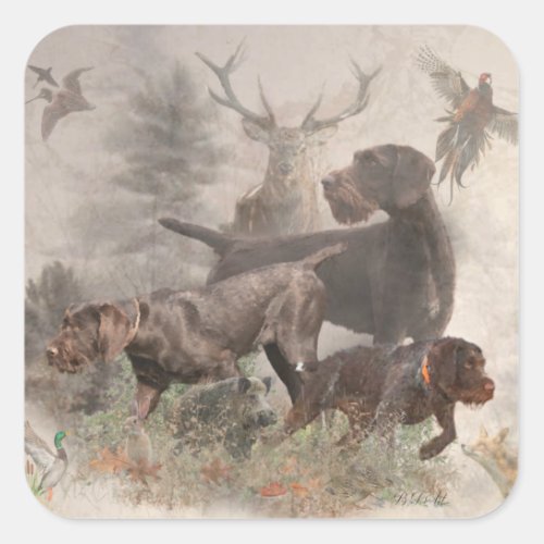  German Wirehaired Pointer     Square Sticker