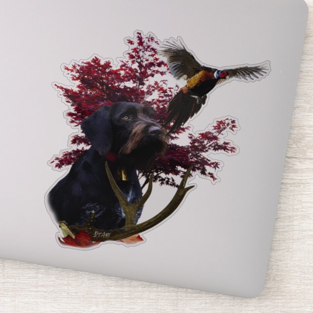  German Wirehaired Pointer     Sticker (Detail)