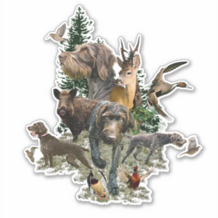 German Wirehaired Pointer   Sticker