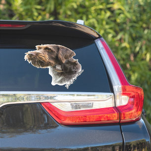 German Wirehaired Pointer Sticker