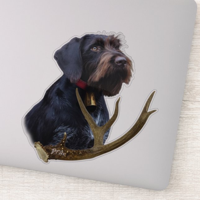  German Wirehaired Pointer     Sticker (Detail)