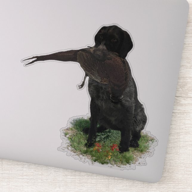 German Wirehaired Pointer  sticker (Detail)