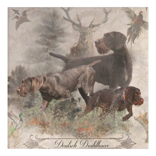 German Wirehaired Pointer  Tapestry Poster Acrylic Print (Front)