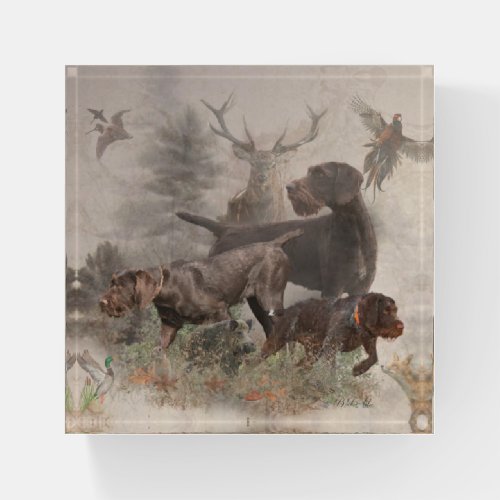 German Wirehaired Pointer with woodcock   Gift Box Paperweight