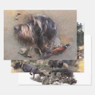 German Wirehaired Pointer   Wrapping Paper Sheets