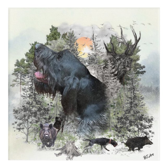 German wirehaired pointers acrylic print (Front)