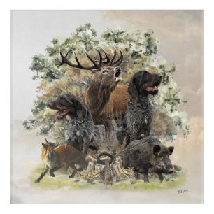 German wirehaired pointers, The Passion for Huntin Acrylic Print