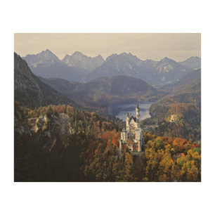 Germany, Bavaria, Neuschwanstein Castle. Wood Wall Art