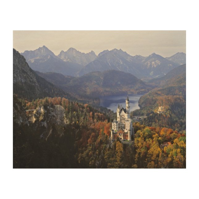 Germany, Bavaria, Neuschwanstein Castle. Wood Wall Art (Front)