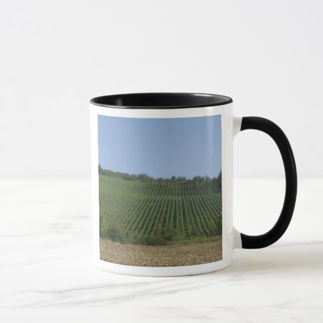 Germany, Franconia, Rothenburg. View along the Mug (Right)