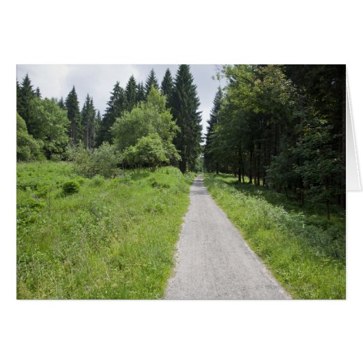 Germany, Thuringia, path in forest Cards (Front Horizontal)