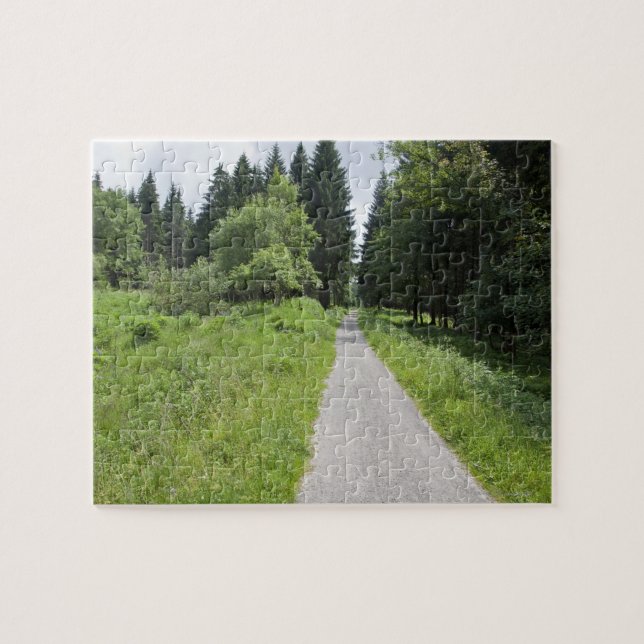 Germany, Thuringia, path in forest Jigsaw Puzzle (Horizontal)