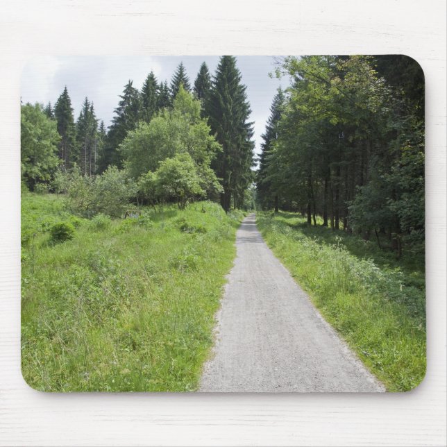 Germany, Thuringia, path in forest Mouse Pad (Front)