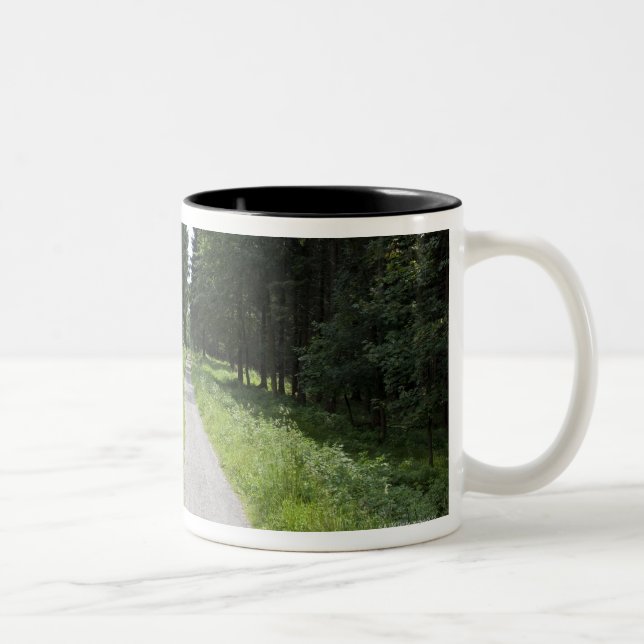 Germany, Thuringia, path in forest Two-Tone Coffee Mug (Right)