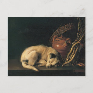 Gerrit Dou- A Sleeping Dog with Terracotta Pot Postcard