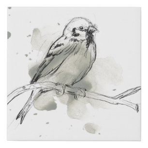 Gestural Bird Study Faux Canvas Print