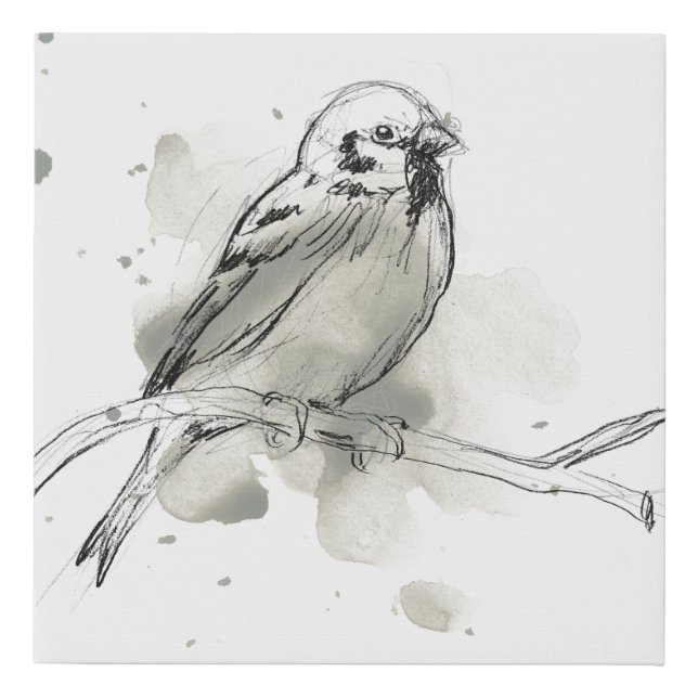 Gestural Bird Study Faux Canvas Print (Front)