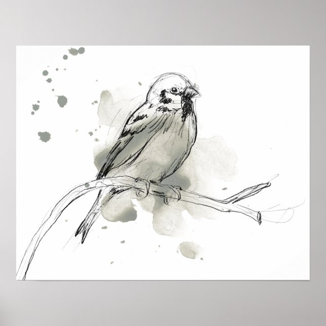 Gestural Bird Study Poster (Front)