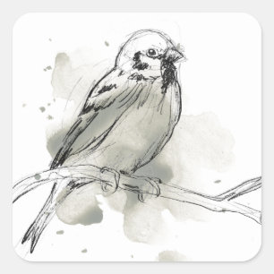 Gestural Bird Study Square Sticker