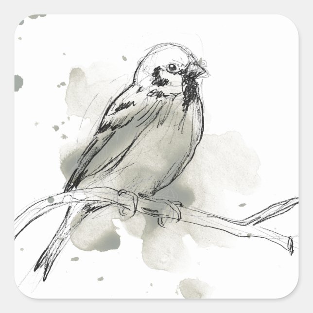 Gestural Bird Study Square Sticker (Front)