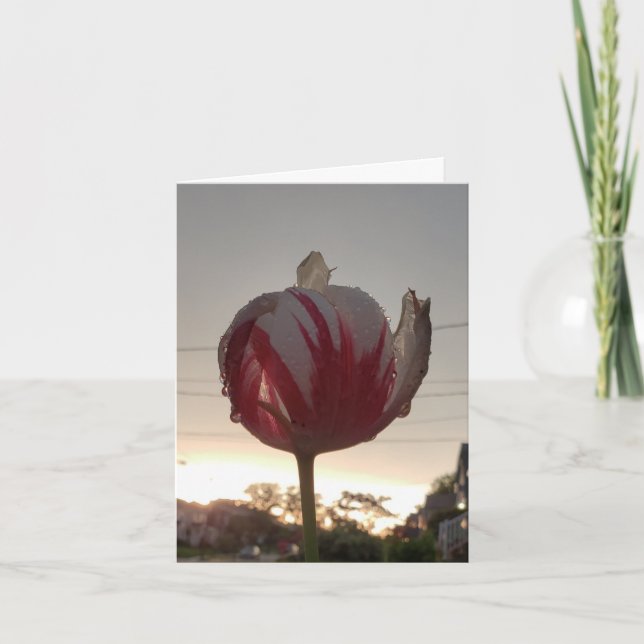 Get A Job, Hippie Card (Front)