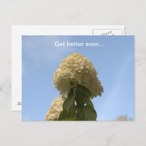 Get Better Soon Lime Hydrangea Postcard