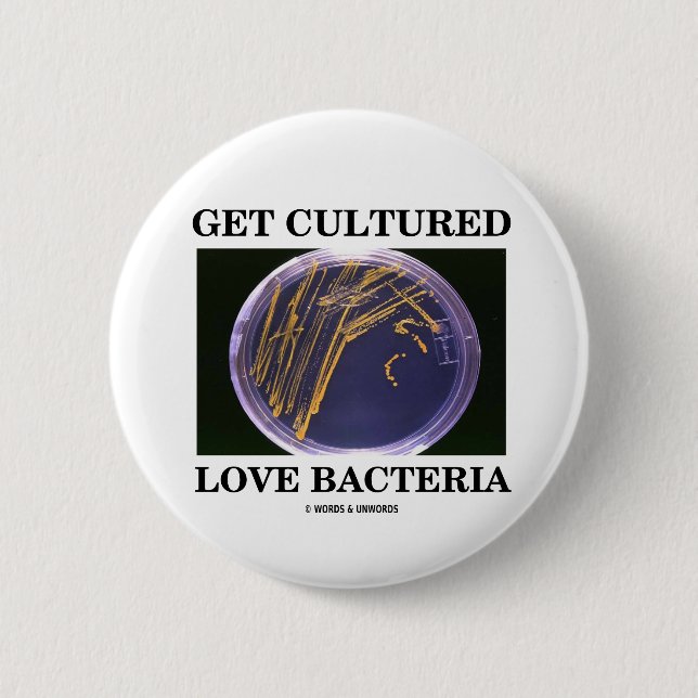 Get Cultured Love Bacteria (Petri Dish Humor) Pinback Button (Front)