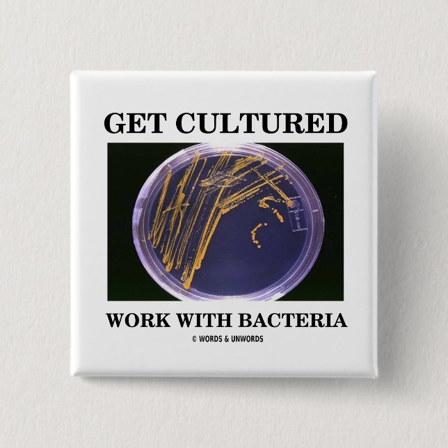 Get Cultured Work With Bacteria (Agar Plate) Pinback Button (Front)