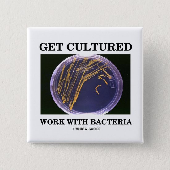Get Cultured Work With Bacteria (Agar Plate) Pinback Button