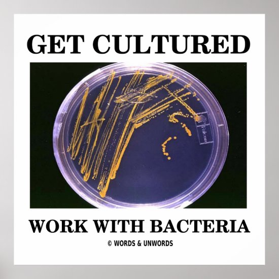 Get Cultured Work With Bacteria (Agar Plate) Poster