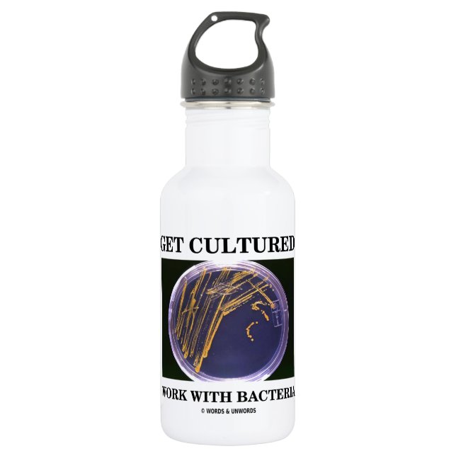 Get Cultured Work With Bacteria (Agar Plate) Stainless Steel Water Bottle (Front)