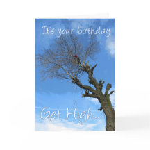 Get high go climb a tree arborist