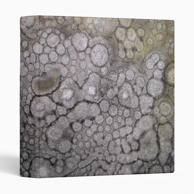 get lost II 3 Ring Binder (Front/Spine)