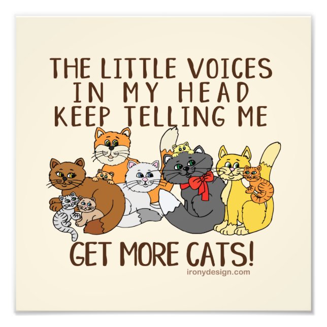 Get More Cats Funny Saying Photo Print (Front)