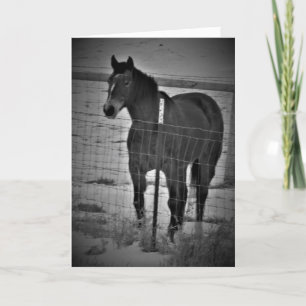 "Get On Your High-Horse" Birthday Card