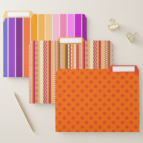 Get Organized for School Work or Home Colorful File Folder