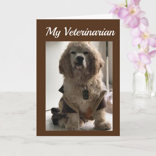 GET OUT  CELEBRATE YOUR DAY VETERINARIAN CARD