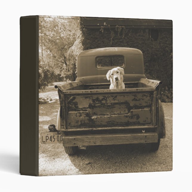 Get Out of Dodge - Dog Photograph 3 Ring Binder (Front/Spine)