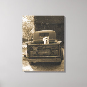 Get Out of Dodge - Dog Photograph Canvas Print