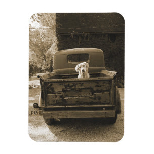 Get Out of Dodge - Dog Photograph Magnet