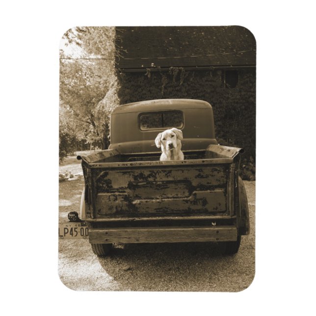 Get Out of Dodge - Dog Photograph Magnet (Vertical)