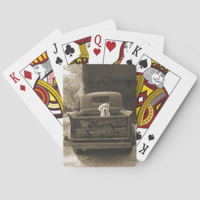 Get Out of Dodge - Dog Photograph Poker Cards (Back)
