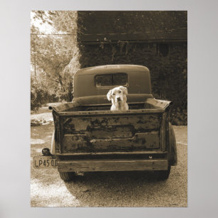 Get Out of Dodge - Dog Photograph Poster
