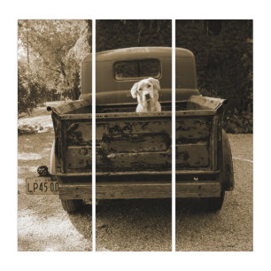 Get Out of Dodge - Dog Photograph Triptych