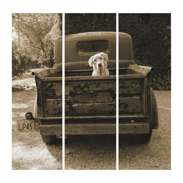 Get Out of Dodge - Dog Photograph Triptych (Front)